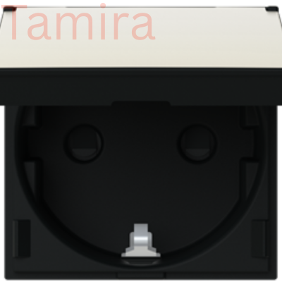 N2288.1 NT Socket Schuko w lid 2M 2CLA228810N1501